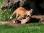 IMG_6445_18x12 copy