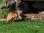 IMG_6451_18x12 copy