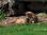 IMG_6482 copy